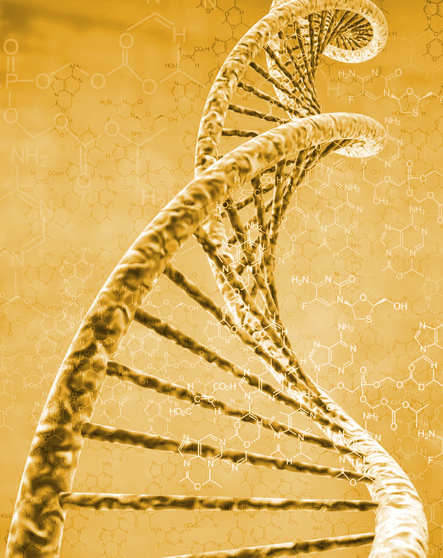 DNA Strand